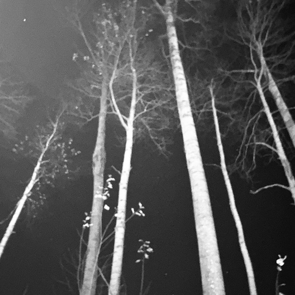 Chanel brand new without box - Picture 3 of 3